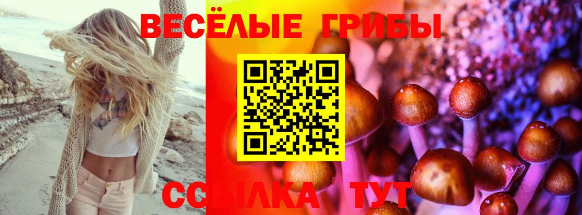 Псилоцибиновые грибы мухоморы  Вход с VPN  Фролово 